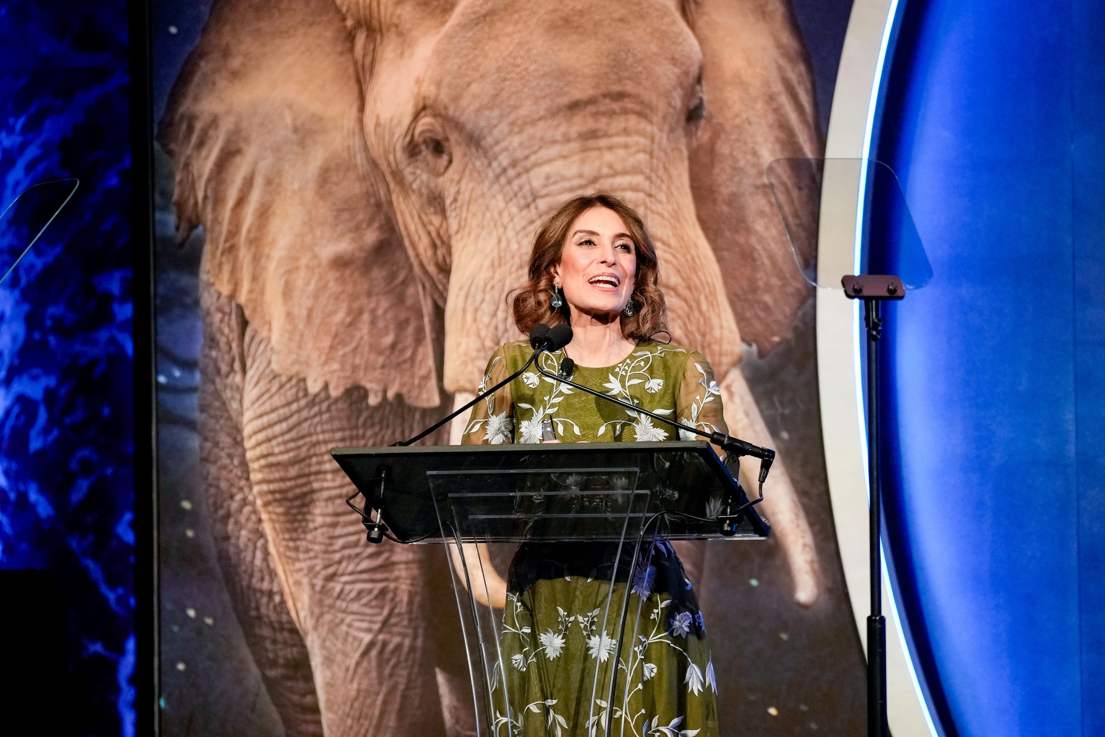 Humane World advocacy