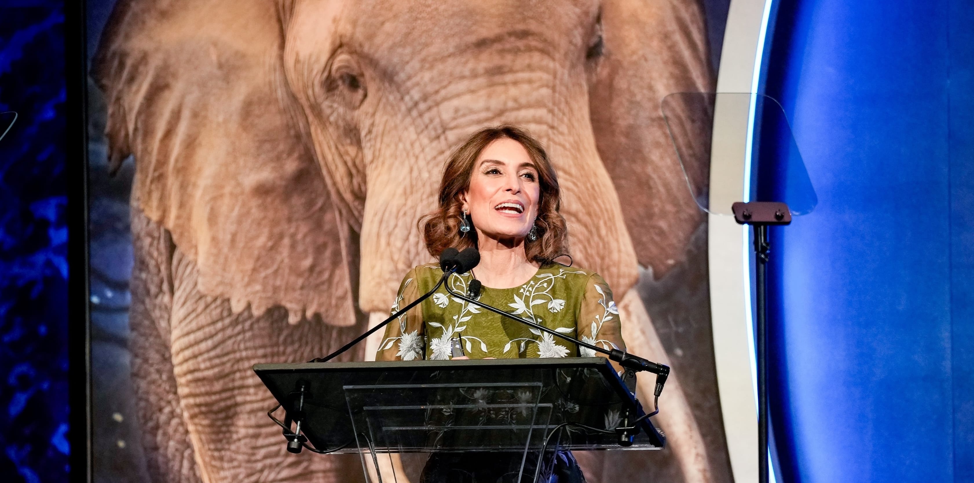 Humane World advocacy